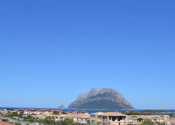 Felix - 4*