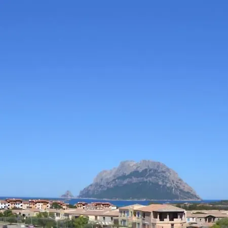 Felix - 4*